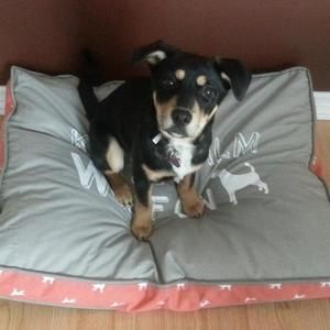 Meet your Posher, Jonathan